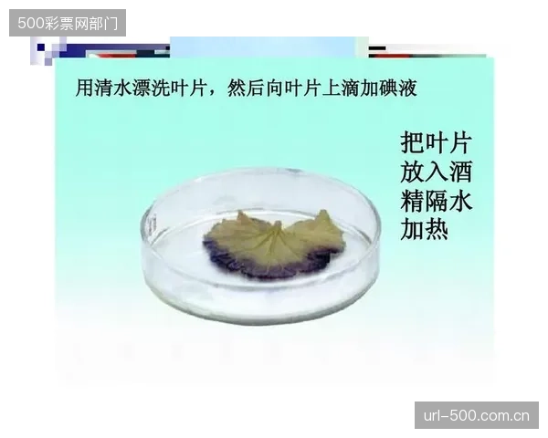 新的生物基纤维结合无水染色技术，可节约95%以上的工业用水